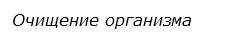  Очищение организма