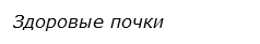  Здоровые почки
