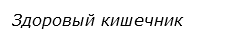  Здоровый кишечник