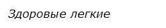  Здоровые легкие